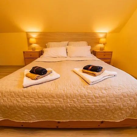 Holiday home Lesne Zacisze- Rowery,lodka,kajak *